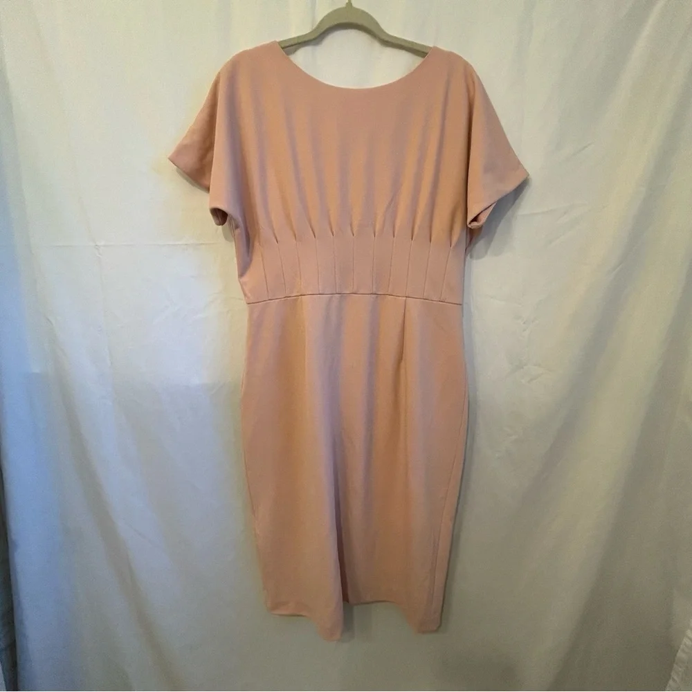 Antonio Melani Blush Pink Pleated Waist Sheath Dress | Size‎ 14 - Picture 2 of 5